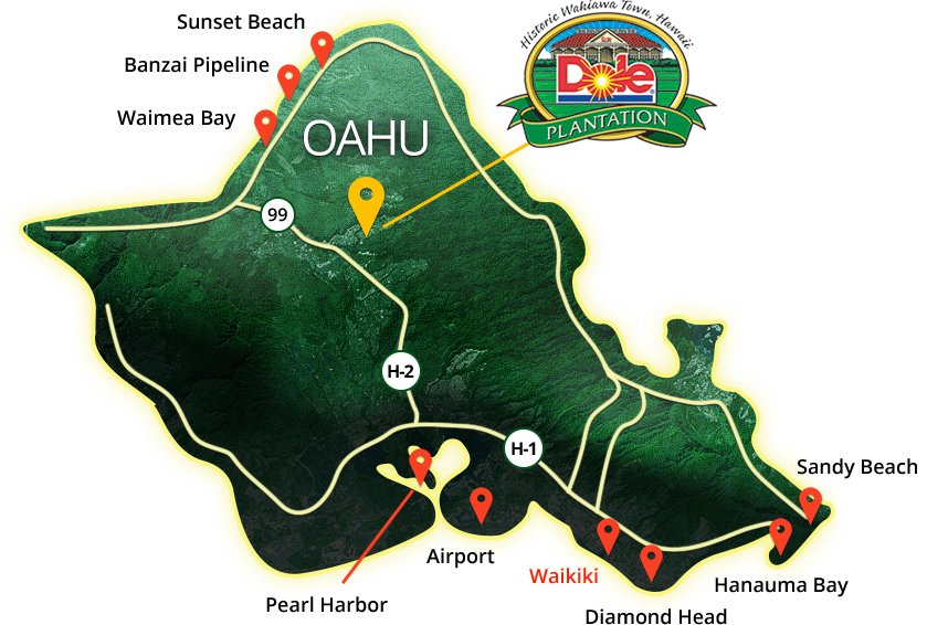 Contact Us Dole Plantation Tours
