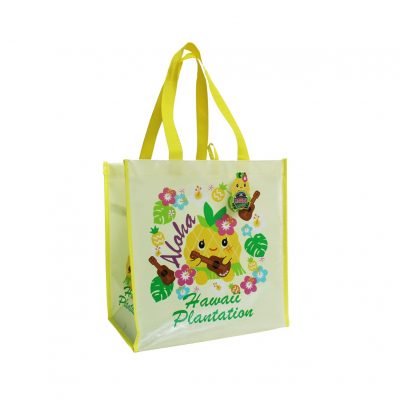 PINE'ACHI REUSABLE BAG